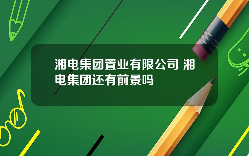 湘电集团置业有限公司 湘电集团还有前景吗